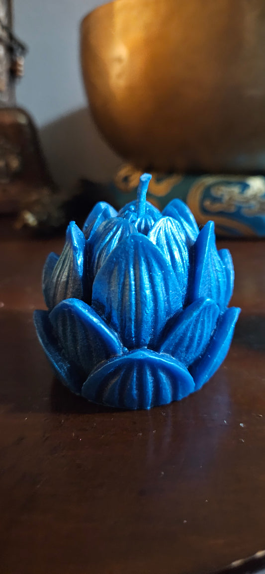 Blue Lotus