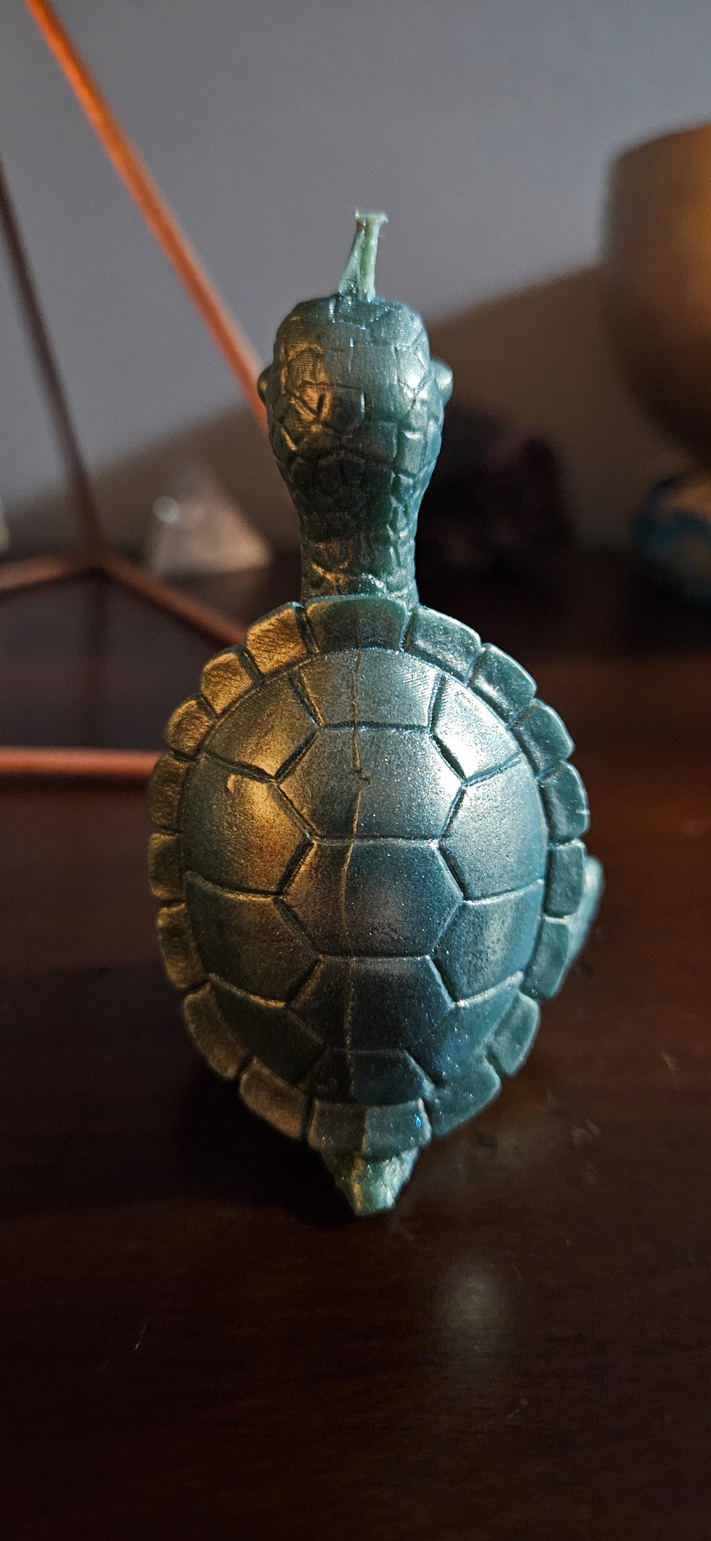 Meditating Turtle