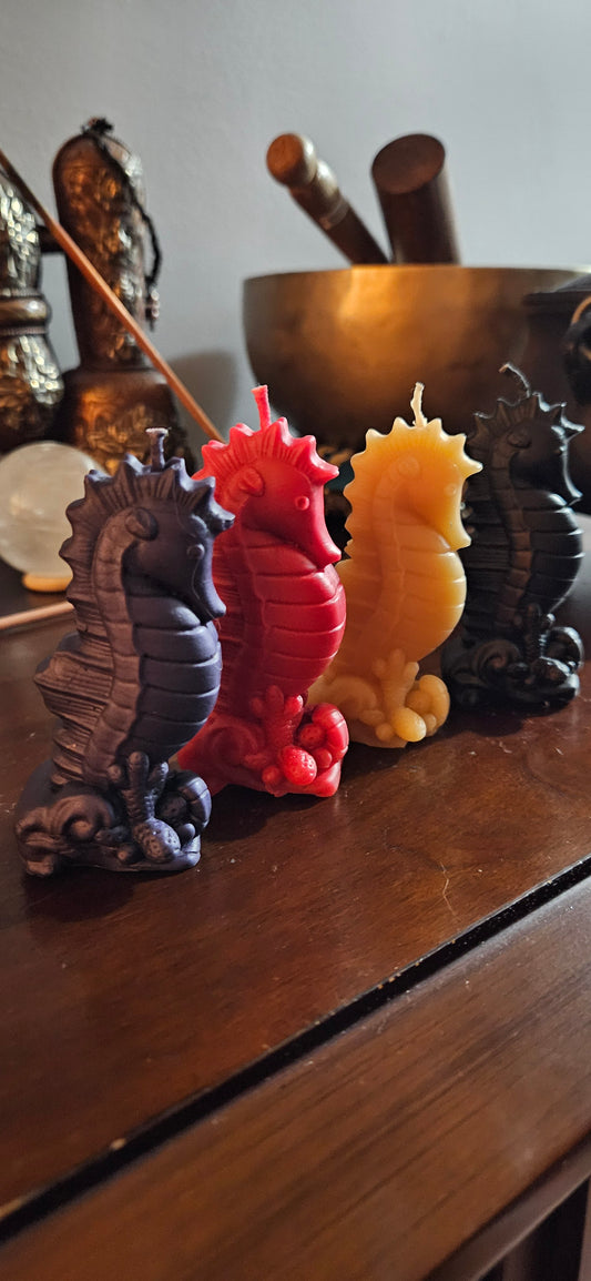 Seahorse Candle